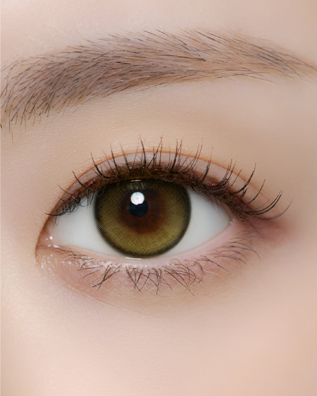KHAKI DENIM - OLIVE BROWN